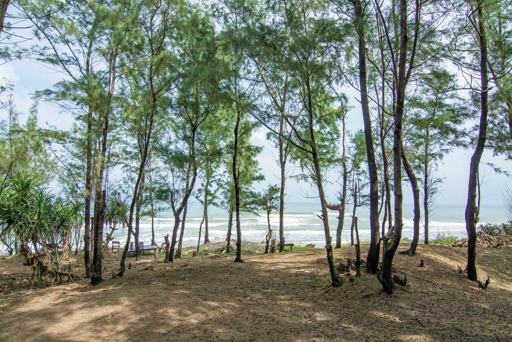 Willa Shadyside Hoi An Zewnętrze zdjęcie